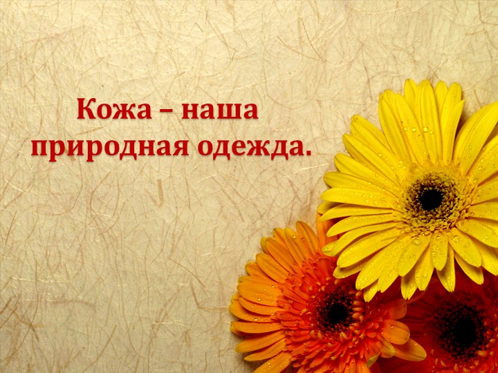 Презентация по миру природы и человека по теме: "Кожа" - Скачать презентации бесплатно | Читать или скачать учебники для школы онлайн бесплатно ☑ Школьные учебники school-textbook.com