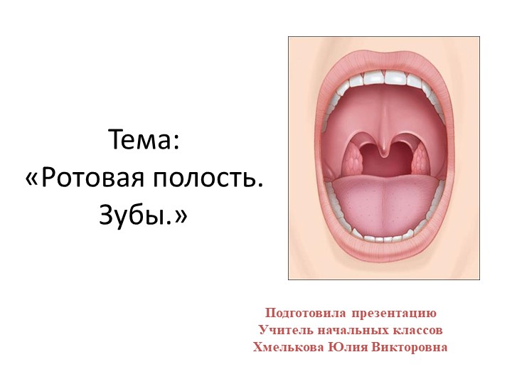 Презентация по миру природы и человека по теме: "Рот". - Скачать презентации бесплатно | Читать или скачать учебники для школы онлайн бесплатно ☑ Школьные учебники school-textbook.com