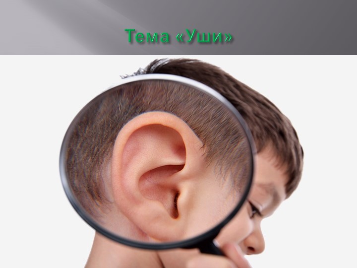 Презентация по миру природы и человека по теме: "Уши". - Скачать презентации бесплатно | Читать или скачать учебники для школы онлайн бесплатно ☑ Школьные учебники school-textbook.com