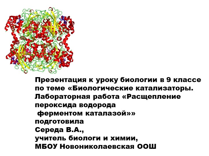 Презентация по биологии на тему "Биологические катализаторы. Лабораторная работа "Расщепление пероксида водорода ферментом каталазой" (9 класс) - Скачать презентации бесплатно | Читать или скачать учебники для школы онлайн бесплатно ☑ Школьные учебники school-textbook.com