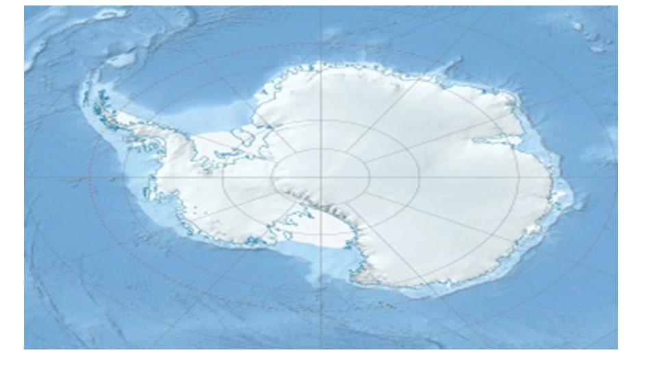 Презентация к уроку окружающего мира по теме "Где живут белые медведи?" - Скачать презентации бесплатно | Читать или скачать учебники для школы онлайн бесплатно ☑ Школьные учебники school-textbook.com