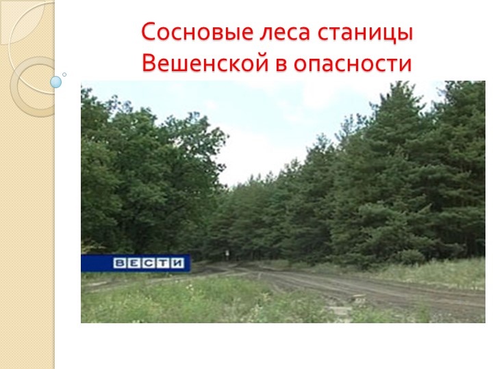 Презентация по экологии"Сосновые леса станицы Вешенской в опасности" - Скачать презентации бесплатно | Читать или скачать учебники для школы онлайн бесплатно ☑ Школьные учебники school-textbook.com