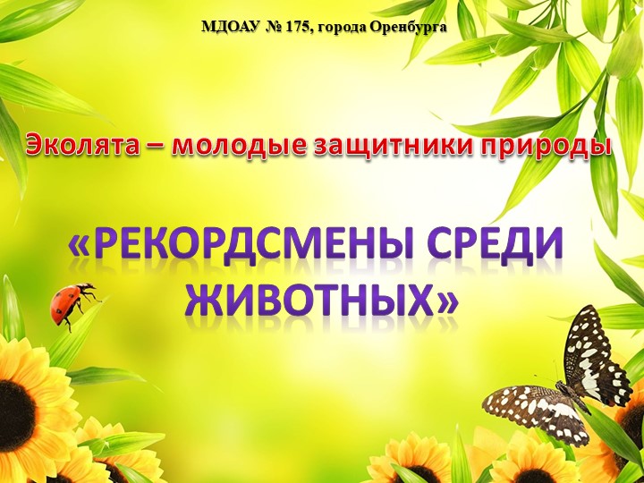 Презентация "Эколята - молодые защитники природы" "Рекордсмены среди животных" - Скачать презентации бесплатно | Читать или скачать учебники для школы онлайн бесплатно ☑ Школьные учебники school-textbook.com