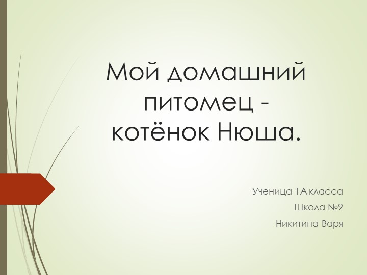 Презентация по окружающему миру на тему "Мой домашний питомец" - Скачать презентации бесплатно | Читать или скачать учебники для школы онлайн бесплатно ☑ Школьные учебники school-textbook.com