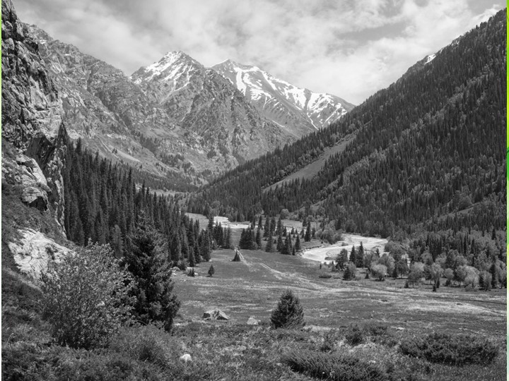 Презентация по русскому языку "Имя прилагательное" (5 класс) - Скачать презентации бесплатно | Читать или скачать учебники для школы онлайн бесплатно ☑ Школьные учебники school-textbook.com