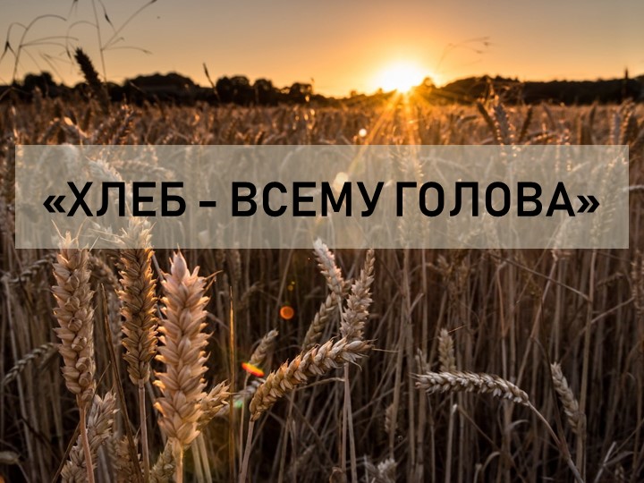 Презентация на тему "Хлеб- всему голова" - Скачать презентации бесплатно | Читать или скачать учебники для школы онлайн бесплатно ☑ Школьные учебники school-textbook.com