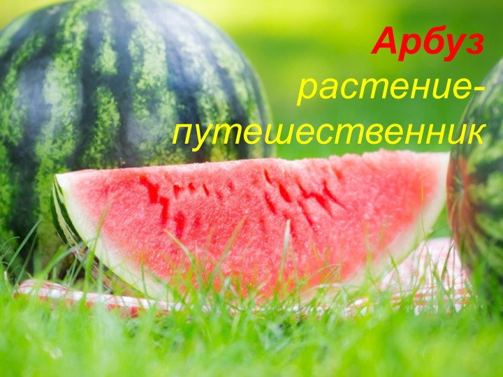 Презентация на тему "Арбузник" - Скачать презентации бесплатно | Читать или скачать учебники для школы онлайн бесплатно ☑ Школьные учебники school-textbook.com