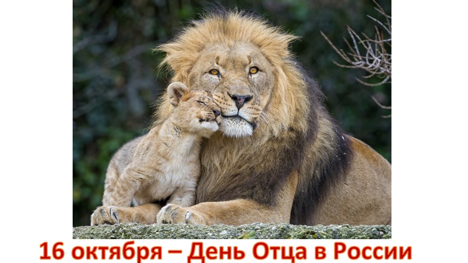 Презентация для "Разговоров о важном", День Отца, 7 класс - Скачать презентации бесплатно | Читать или скачать учебники для школы онлайн бесплатно ☑ Школьные учебники school-textbook.com