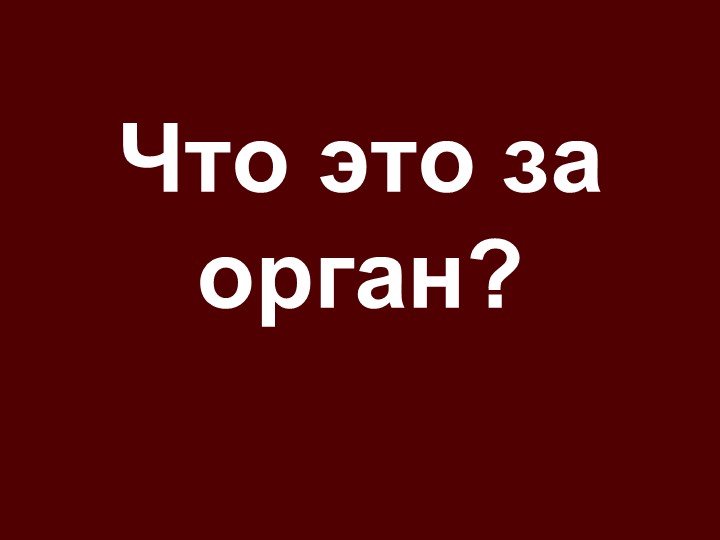 "Строение и функции кожи" - Скачать презентации бесплатно | Читать или скачать учебники для школы онлайн бесплатно ☑ Школьные учебники school-textbook.com