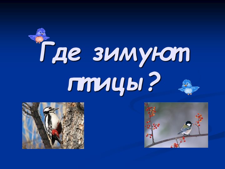 "Где зимуют птицы" презентация к уроку окружающего мира" - Скачать презентации бесплатно | Читать или скачать учебники для школы онлайн бесплатно ☑ Школьные учебники school-textbook.com