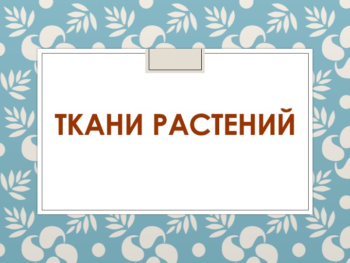 Презентация по биологии "Ткани растений" 6 класс - Скачать презентации бесплатно | Читать или скачать учебники для школы онлайн бесплатно ☑ Школьные учебники school-textbook.com