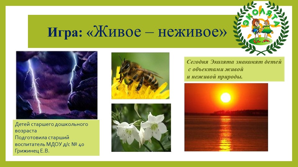 Игра для старших дошкольников для закрепления понятия "живая природа", "неживая природа". В этом им помогут Эколята-дошколята-защитники природы. - Скачать презентации бесплатно | Читать или скачать учебники для школы онлайн бесплатно ☑ Школьные учебники school-textbook.com
