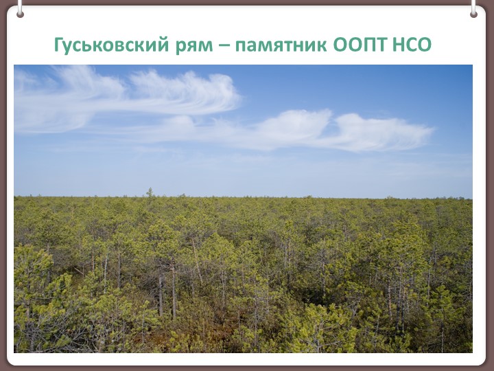 Презентация к занятию по экологии на тему "Гуськовский рям"(6 класс) - Скачать презентации бесплатно | Читать или скачать учебники для школы онлайн бесплатно ☑ Школьные учебники school-textbook.com