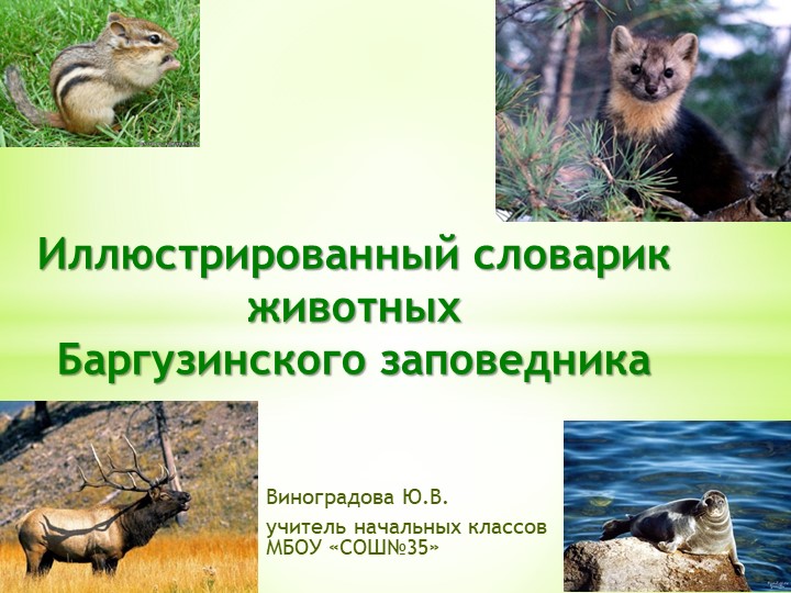 Иллюстрированный словарик животных Баргузинского заповедника - Скачать презентации бесплатно | Читать или скачать учебники для школы онлайн бесплатно ☑ Школьные учебники school-textbook.com