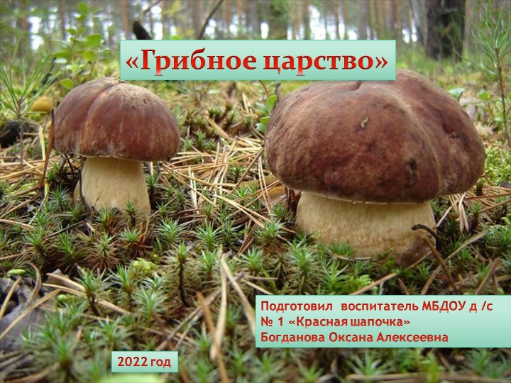 Презентация для подготовителной группы " Грибное царство" - Скачать презентации бесплатно | Читать или скачать учебники для школы онлайн бесплатно ☑ Школьные учебники school-textbook.com