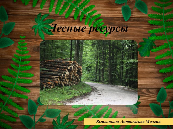 Презентация на тему " Лесные ресурсы" ( 10 класс) - Скачать презентации бесплатно | Читать или скачать учебники для школы онлайн бесплатно ☑ Школьные учебники school-textbook.com