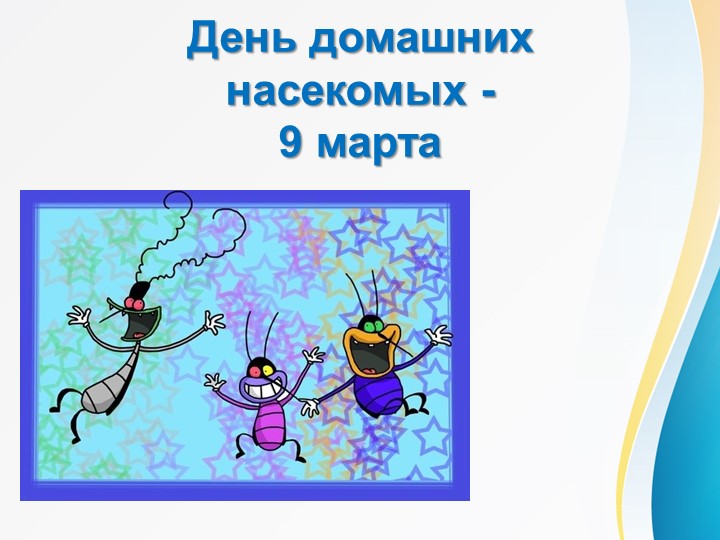Презентация на тему "Домашние насекомые" (2-3 класс) - Скачать презентации бесплатно | Читать или скачать учебники для школы онлайн бесплатно ☑ Школьные учебники school-textbook.com