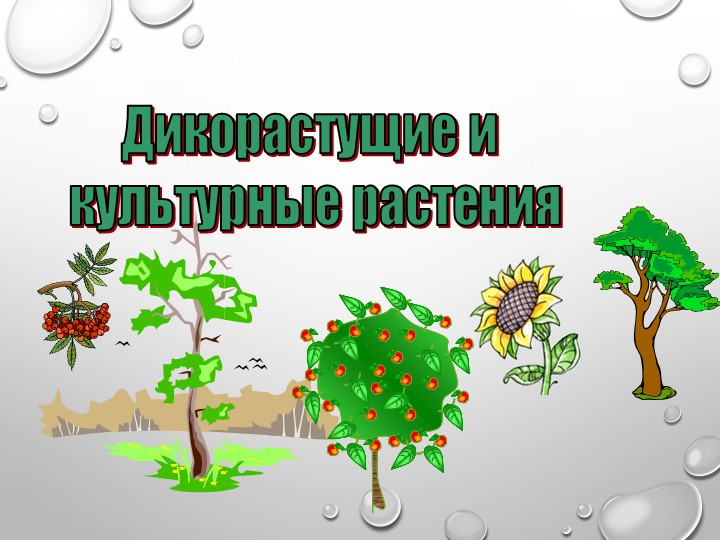 Презентация " Дикорастущие и культурные растения" - Скачать презентации бесплатно | Читать или скачать учебники для школы онлайн бесплатно ☑ Школьные учебники school-textbook.com
