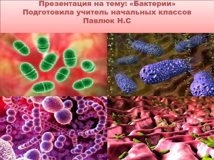 Презентация "Презентация по теме бактерии" - Скачать презентации бесплатно | Читать или скачать учебники для школы онлайн бесплатно ☑ Школьные учебники school-textbook.com
