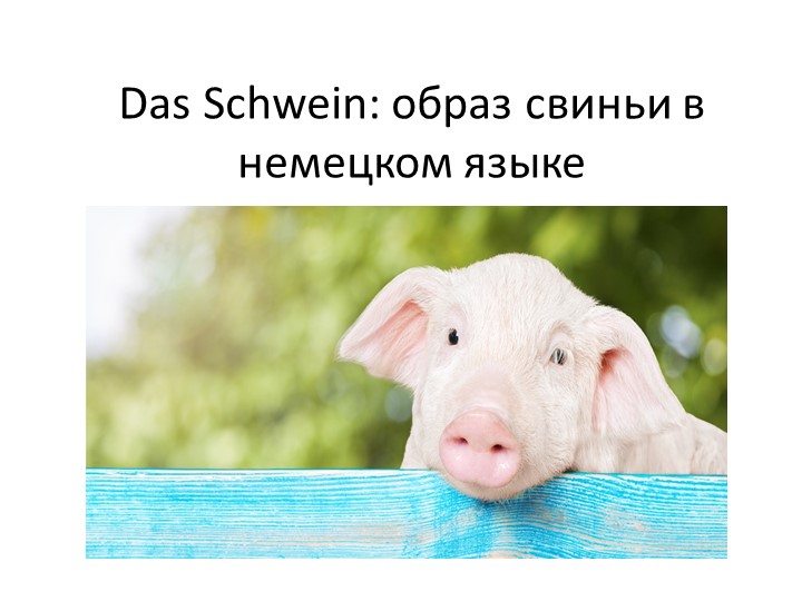Презентация по немецкому языку на тему "Животные" (7 класс) - Скачать презентации бесплатно | Читать или скачать учебники для школы онлайн бесплатно ☑ Школьные учебники school-textbook.com