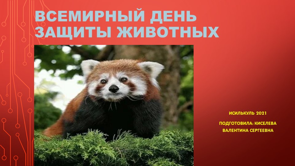 Презентация "Красная книга"для сценария к празднику "В мире животных" дополнительное образование - Скачать презентации бесплатно | Читать или скачать учебники для школы онлайн бесплатно ☑ Школьные учебники school-textbook.com