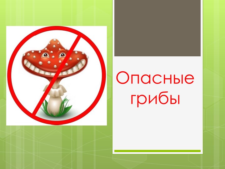 Презентация для дошкольников "Опасные грибы" - Скачать презентации бесплатно | Читать или скачать учебники для школы онлайн бесплатно ☑ Школьные учебники school-textbook.com