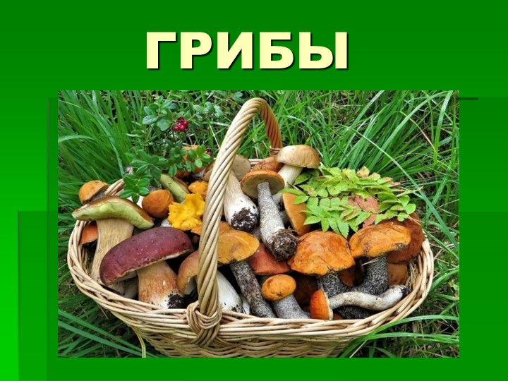 Презентация по окружающему миру на тему "Грибы". - Скачать презентации бесплатно | Читать или скачать учебники для школы онлайн бесплатно ☑ Школьные учебники school-textbook.com
