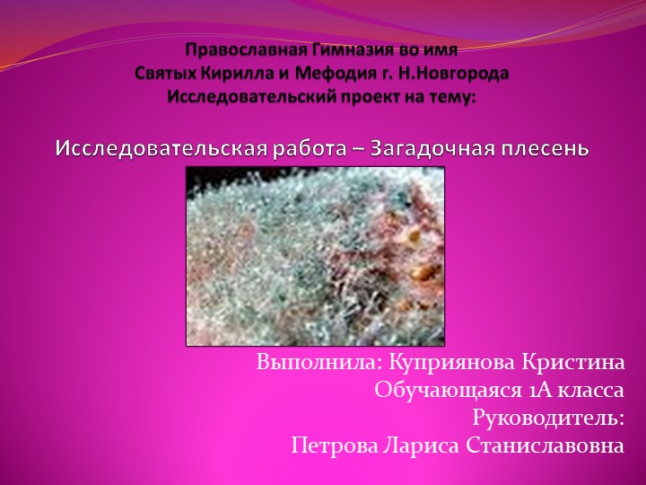 Презентация "Эта загадочная плесень" - Скачать презентации бесплатно | Читать или скачать учебники для школы онлайн бесплатно ☑ Школьные учебники school-textbook.com
