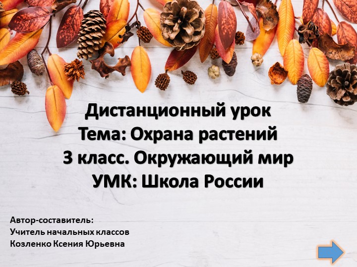 Охрана растений ОМ 3 кл.,1ч. Школа России - Скачать презентации бесплатно | Читать или скачать учебники для школы онлайн бесплатно ☑ Школьные учебники school-textbook.com