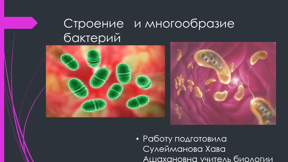 Презентация "Строение и многообразие бактерий" - Скачать презентации бесплатно | Читать или скачать учебники для школы онлайн бесплатно ☑ Школьные учебники school-textbook.com