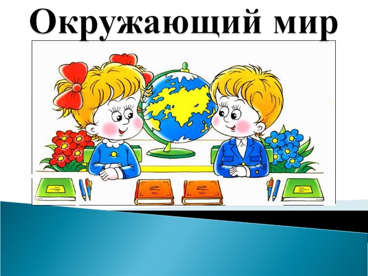 Земноводные, Презентация, 1 класс - Скачать презентации бесплатно | Читать или скачать учебники для школы онлайн бесплатно ☑ Школьные учебники school-textbook.com