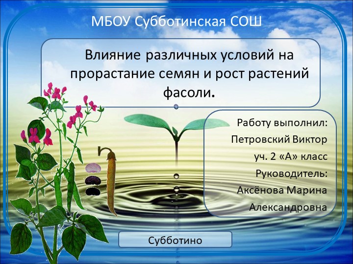 Презентация "Влияние различных условий на прорастание семян и рост растений фасоли." - Скачать презентации бесплатно | Читать или скачать учебники для школы онлайн бесплатно ☑ Школьные учебники school-textbook.com