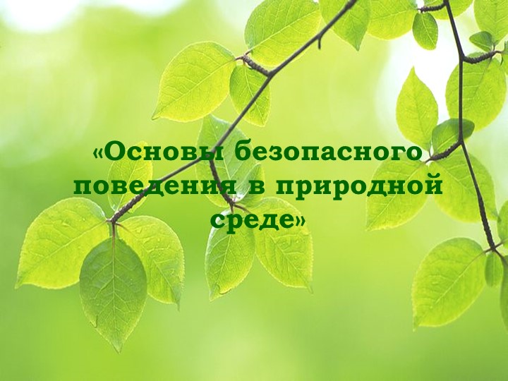 "Что такое экология"Презентация на тему _Основы безопасного поведения в природной среде_ - Скачать презентации бесплатно | Читать или скачать учебники для школы онлайн бесплатно ☑ Школьные учебники school-textbook.com
