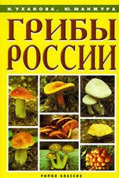 Грибы России - Уханова И., Манжура Ю.  - Скачать презентации бесплатно | Читать или скачать учебники для школы онлайн бесплатно ☑ Школьные учебники school-textbook.com