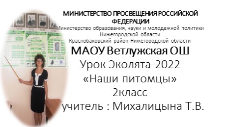 МАОУ Ветлужская ОШ Урок Эколята-2022 «Наши питомцы» Всероссийский урок «Эколята-молодые защитники природы». - Скачать презентации бесплатно | Читать или скачать учебники для школы онлайн бесплатно ☑ Школьные учебники school-textbook.com
