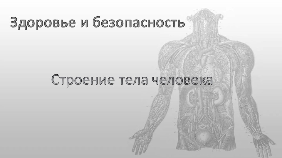 Презентация по окружающему миру "Здоровье и безопасность, органы человека" - Скачать презентации бесплатно | Читать или скачать учебники для школы онлайн бесплатно ☑ Школьные учебники school-textbook.com