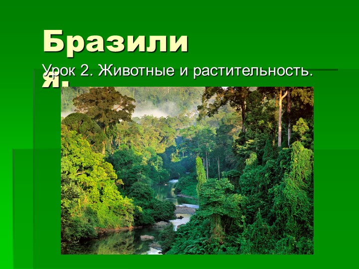 Презентация по страноведению на тему "Бразилия 2 занятие" - Скачать презентации бесплатно | Читать или скачать учебники для школы онлайн бесплатно ☑ Школьные учебники school-textbook.com