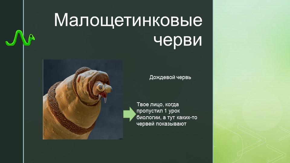 Презентация к уроку по теме "Малощетинковые черви" - Скачать презентации бесплатно | Читать или скачать учебники для школы онлайн бесплатно ☑ Школьные учебники school-textbook.com