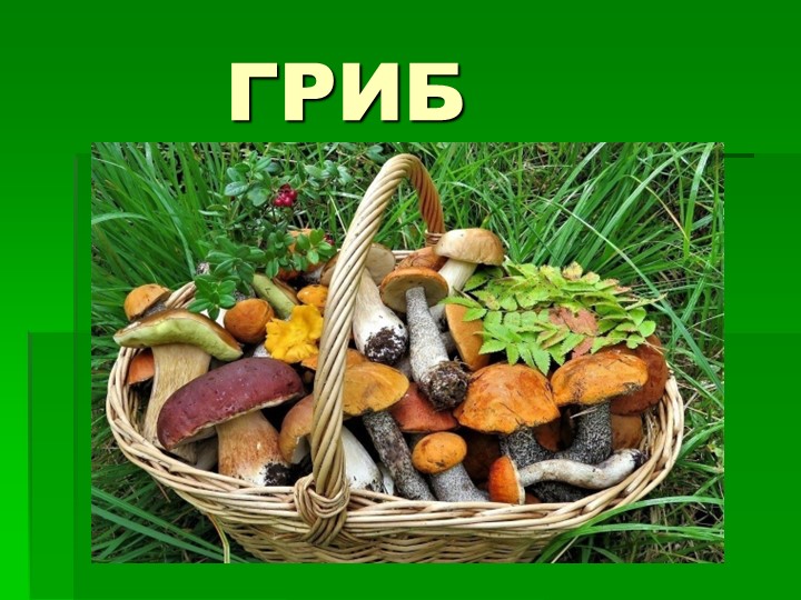 Презентация по предмету познаю мир на тему "Грибы" старшая группа - Скачать презентации бесплатно | Читать или скачать учебники для школы онлайн бесплатно ☑ Школьные учебники school-textbook.com
