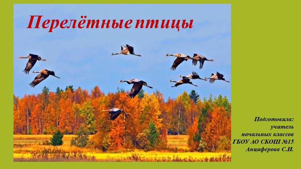 Презентация к уроку мир природы и человека по теме: "Перелётные птицы" (3 класс) - Скачать презентации бесплатно | Читать или скачать учебники для школы онлайн бесплатно ☑ Школьные учебники school-textbook.com