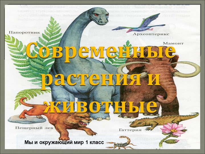 Современные растения и животные - Скачать презентации бесплатно | Читать или скачать учебники для школы онлайн бесплатно ☑ Школьные учебники school-textbook.com
