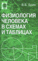 Физиология человека в схемах и таблицах - Брин В.Б.  - Скачать презентации бесплатно | Читать или скачать учебники для школы онлайн бесплатно ☑ Школьные учебники school-textbook.com