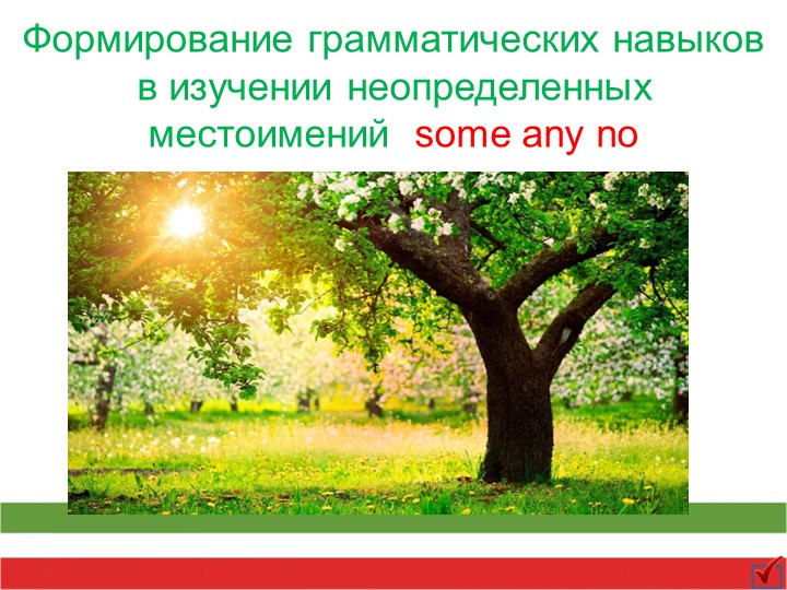 Презентация по английскому языку на тему "Формирование грамматических навыков в изучении неопределенных местоимений some any no" - Скачать презентации бесплатно | Читать или скачать учебники для школы онлайн бесплатно ☑ Школьные учебники school-textbook.com