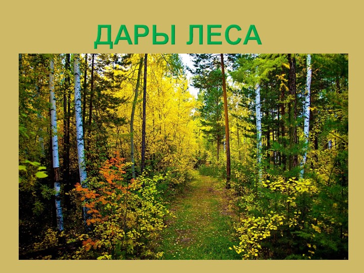 Презентация по окружающему миру на тему "Дары леса" - Скачать презентации бесплатно | Читать или скачать учебники для школы онлайн бесплатно ☑ Школьные учебники school-textbook.com