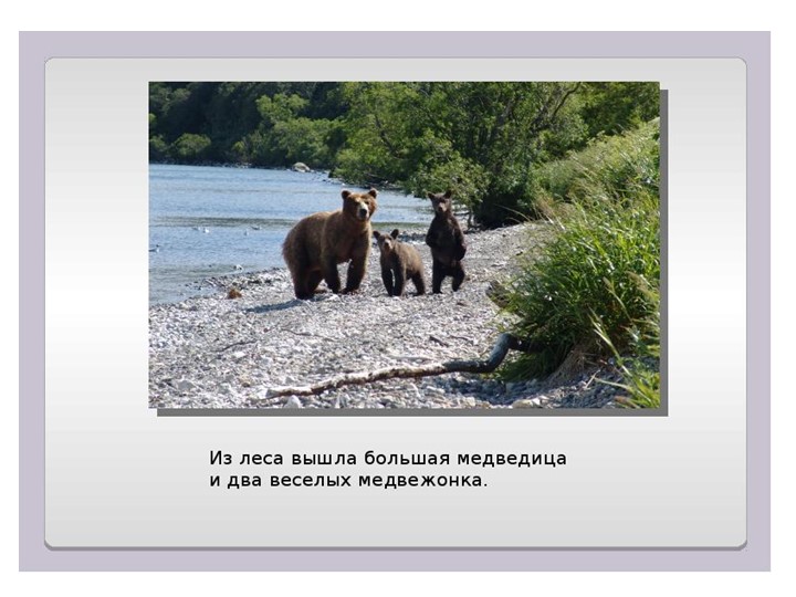Презентация В. Бианки " Купание медвежат" - Скачать презентации бесплатно | Читать или скачать учебники для школы онлайн бесплатно ☑ Школьные учебники school-textbook.com