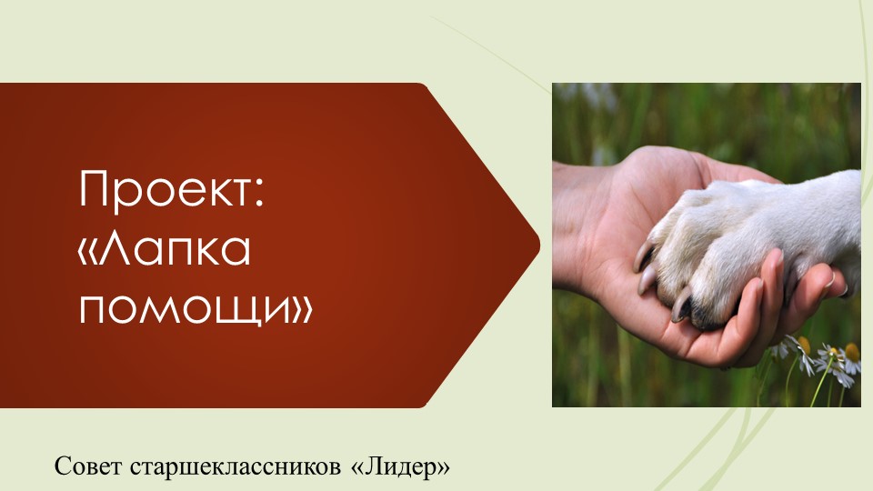 Презентация проекта "Лапка помощи" - Скачать презентации бесплатно | Читать или скачать учебники для школы онлайн бесплатно ☑ Школьные учебники school-textbook.com