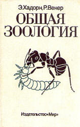 Общая зоология - Хадорн Э., Венер Р.  - Скачать презентации бесплатно | Читать или скачать учебники для школы онлайн бесплатно ☑ Школьные учебники school-textbook.com