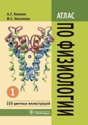 Атлас по физиологии. т.1 - Камкин А.Г., Киселева И.С. - Скачать презентации бесплатно | Читать или скачать учебники для школы онлайн бесплатно ☑ Школьные учебники school-textbook.com