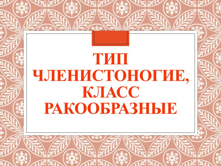 Презентация "Тип Членистоногие, класс Ракообразные" - Скачать презентации бесплатно | Читать или скачать учебники для школы онлайн бесплатно ☑ Школьные учебники school-textbook.com