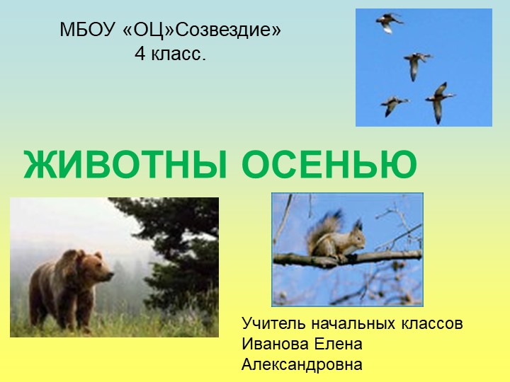 Презентация по миру природы и человека на тему "Животные осенью" - Скачать презентации бесплатно | Читать или скачать учебники для школы онлайн бесплатно ☑ Школьные учебники school-textbook.com